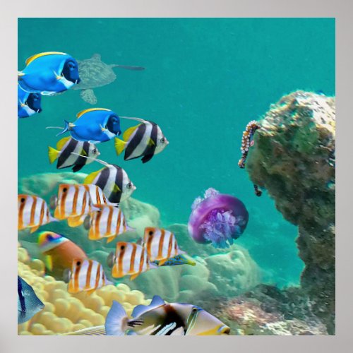 Not Just Tropical Fish Live On Coral Reefs Poster