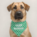 Not Lucky Simply Blessed Christian St Patricks Day Pet Bandana Collar<br><div class="desc">Celebrate St. Patrick’s Day with faith and style with this Christian pet bandana! Featuring a vibrant green shamrock pattern and the uplifting message “Not Lucky, Simply Blessed, ” this bandana is perfect for pet owners who want to showcase their faith over luck. It’s comfortable for dogs and cats of all...</div>