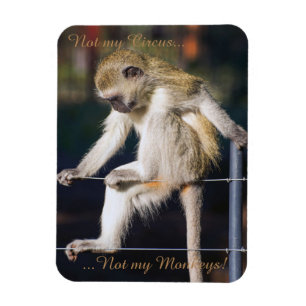 Not my circus, not my monkeys magnet