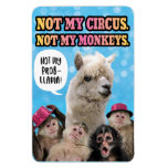 Not My Circus, Not My Monkeys, Not My Probllama Magnet at Zazzle