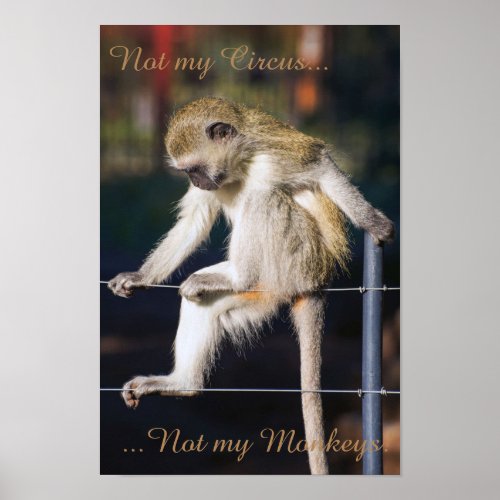 Not my circus not my monkeys poster