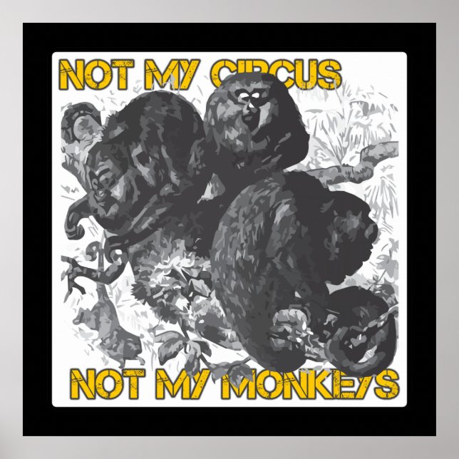 Not my Circus, Not my Monkeys Poster (Front)