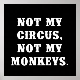 Not My Circus, Not My Monkeys Poster