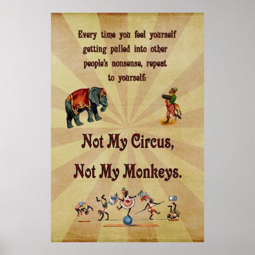 Not My Circus Not My Monkeys Poster