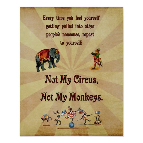 Not My Circus Not My Monkeys Poster