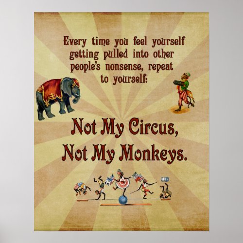 Not My Circus Not My Monkeys Poster