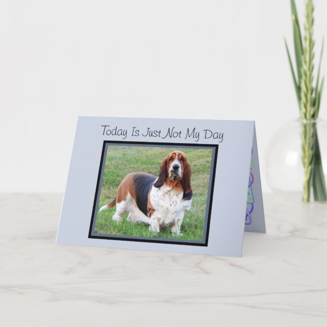 "Not My Day" Birthday Card W/Fun Basset Hound (Front)