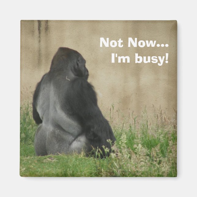 Not Now...I'm busy! Magnet (Front)
