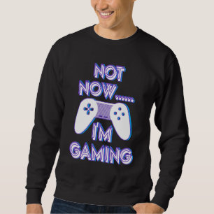 Not Now I'm Gaming I Can't Busy Funny Video Gamer_ Sweatshirt
