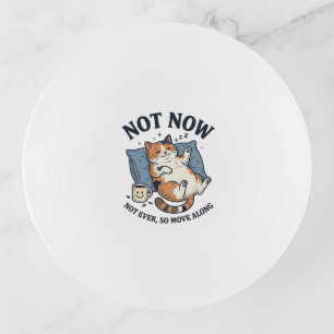 Not Now Lazy Cat Vintage Engraving Funny Cat Desig Trinket Tray