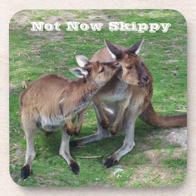 Not Now Skippy Coaster (Front)