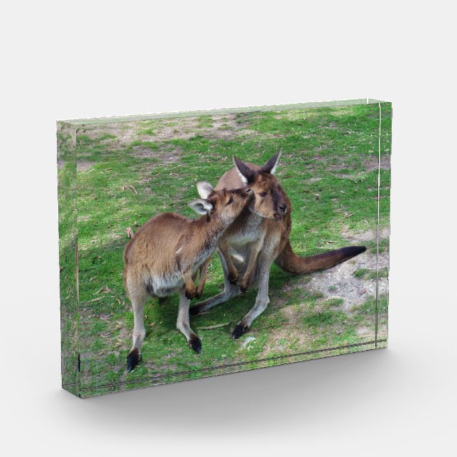Not Now Skippy Photo Block (Left)