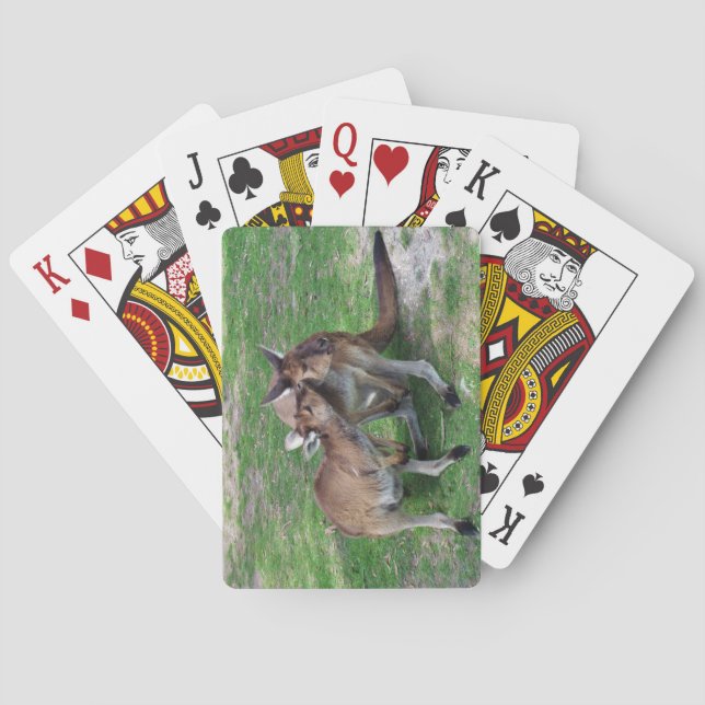 Not Now Skippy Poker Cards (Back)