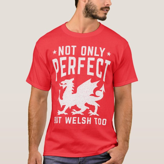 Not Only Perfect But Welsh Too Funny Wales T-Shirt (Front)