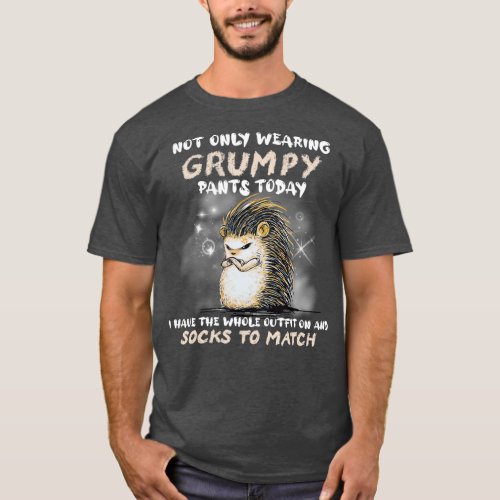 Not Only Wearing Grumpy Pants Today Funny Hedgehog T_Shirt