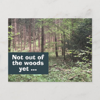 Not Out of the Woods Yet Quarantine in Nature Postcard
