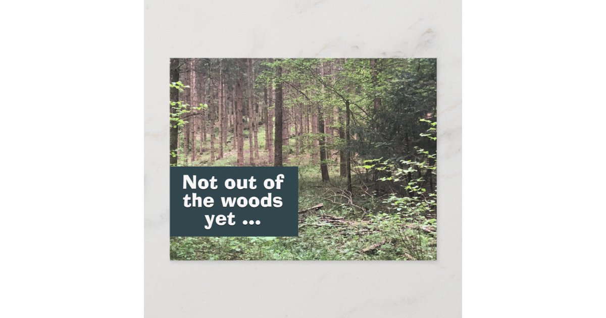 Not Out of the Woods Yet Quarantine in Nature Postcard | Zazzle
