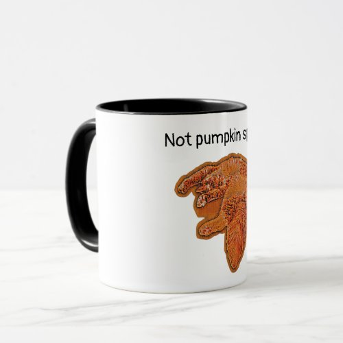 Not pumpkin spice funny fall coffee mug