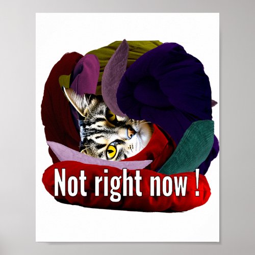 Not right now poster