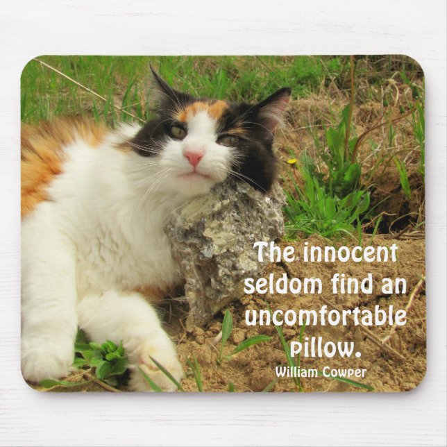 Not so innocent? mouse pad (Front)