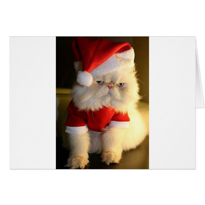 Not So Jolly Santa Cat Greeting Card