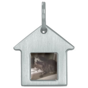 Not Talking to you Dave House Pet Tag
