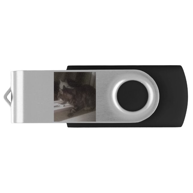 Not Talking to you Dave Memory Stick/USB USB Flash Drive (Back)