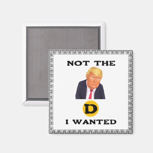 Not The D I Wanted Magnet