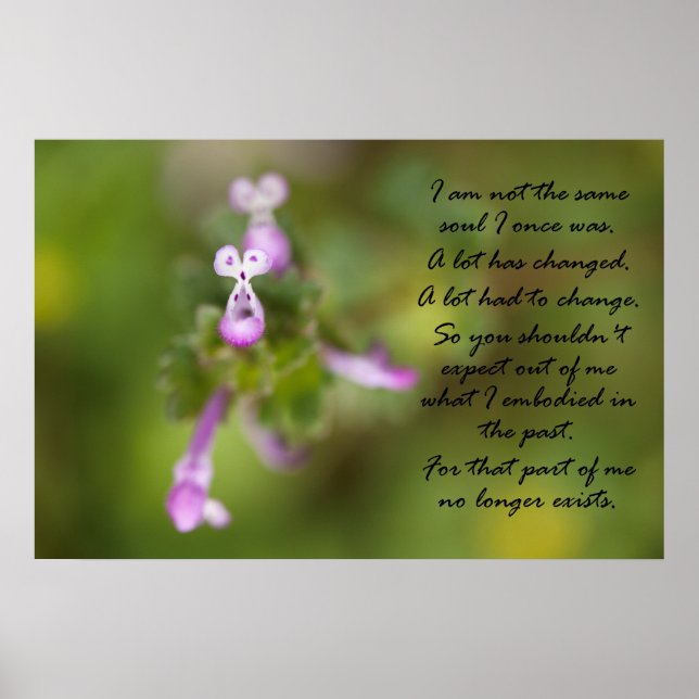 Not the Same Soul Poster (Front)