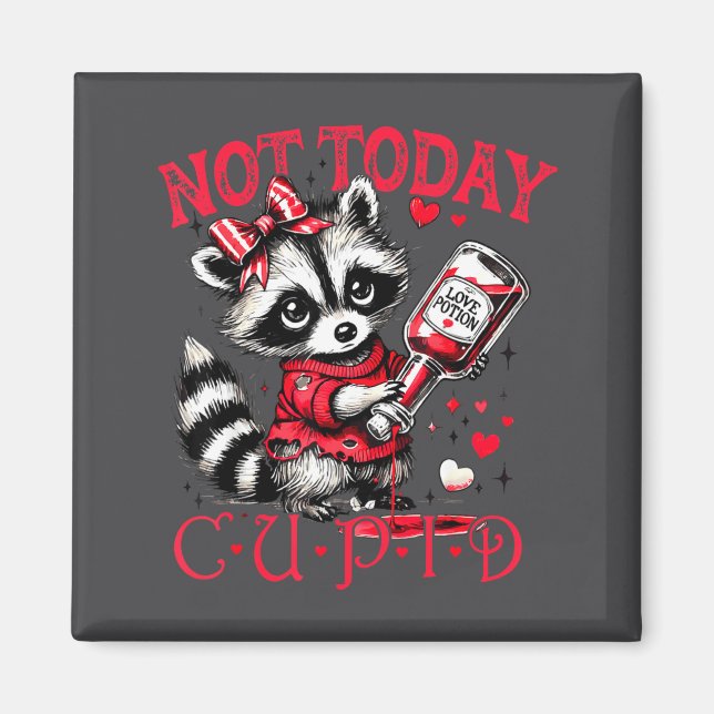 Not Today Cud Funny Raccoon Valentines Day Cute Ki Magnet (Front)