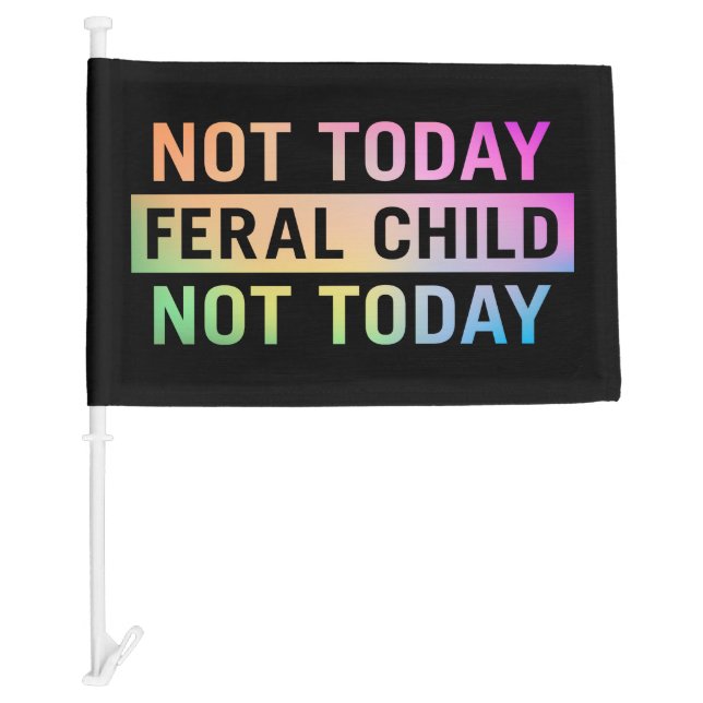 Not Today Feral Child Funny Car Flag (Front)