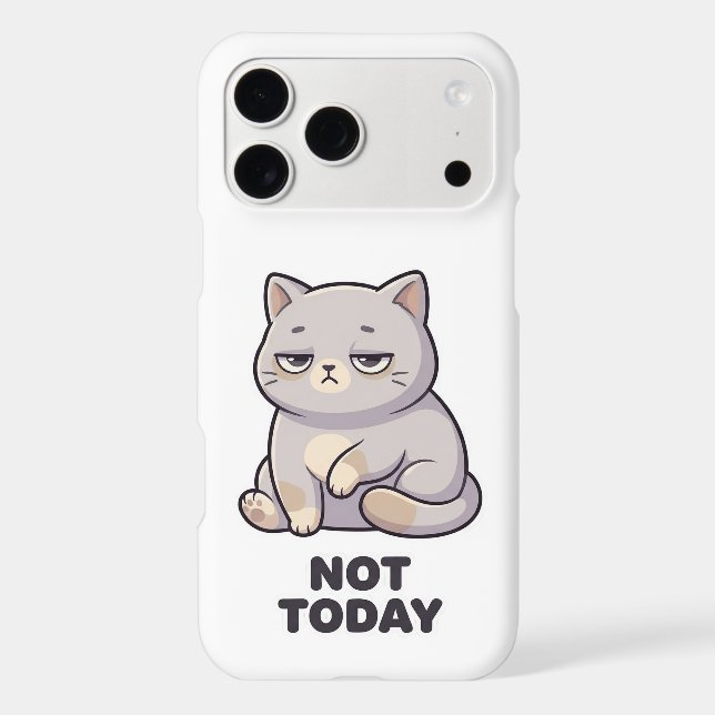 Not Today Grumpy Cat Sticker iPhone Case (Back)