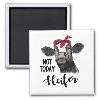 Not Today Heifer Magnet by mybabytee at Zazzle