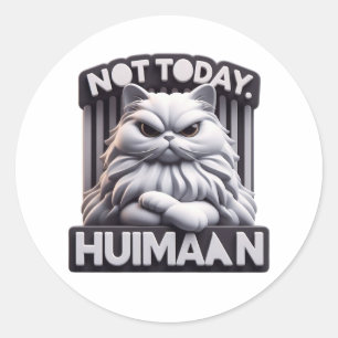 Not Today Huimaan Funny Angry Cat Craft Stickers