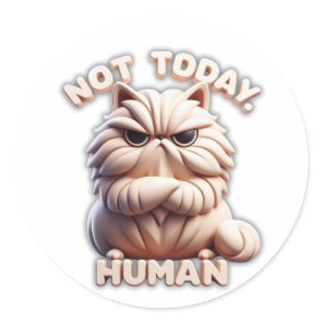 Not Today Human Grumpy Cat Craft Sticker