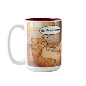 Not Today Human Grumpy Cat Mug | Lazy Cat Funny Co