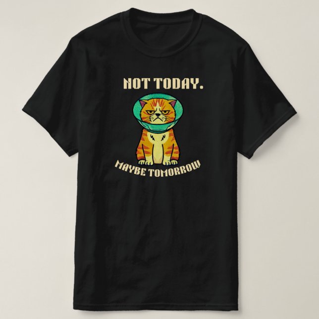 Not Today Maybe Tomorrow Funny Grumpy Cat Design T-Shirt (Design Front)