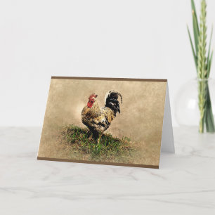 Not Too Chicken Rooster Birthday Card