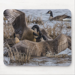Not Wanted Here Mouse Pad
