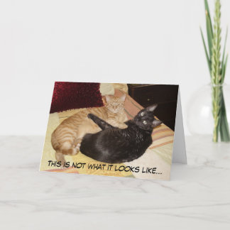 Not what it looks like... card