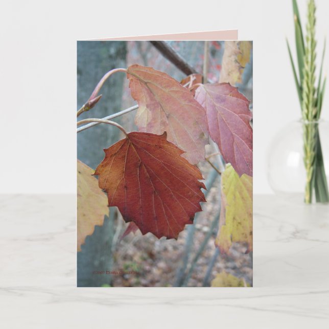 Not Yet Fallen Card (Front)