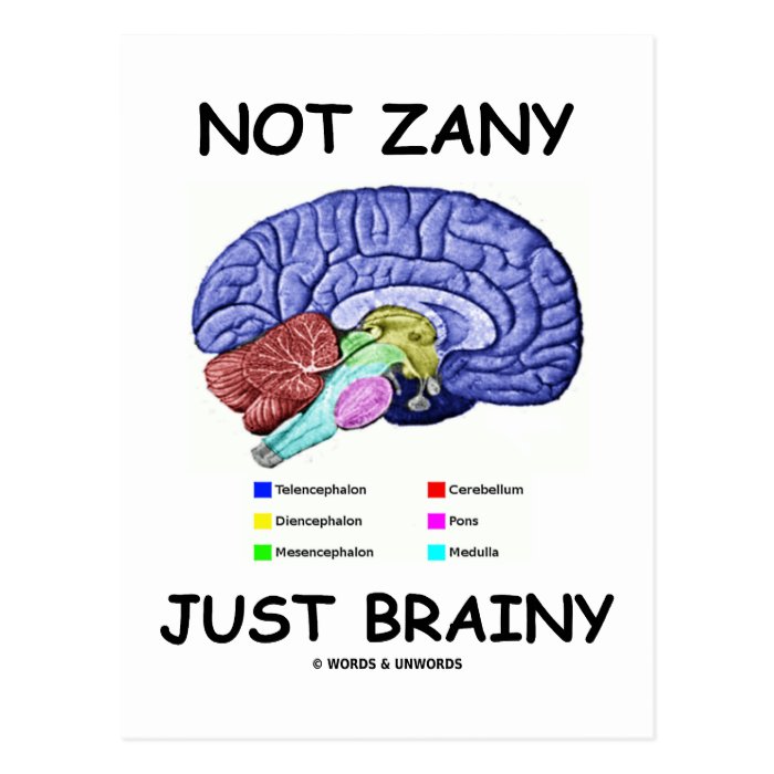 Not Zany Just Brainy (Brain Anatomy Humor) Post Card
