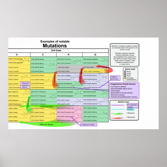 Notable Mutations by Genetic Code of Amino Acids Poster