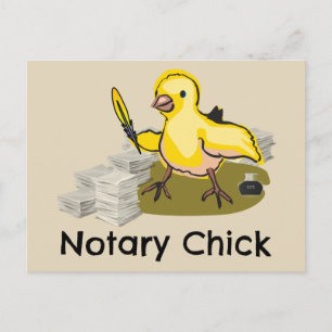 Notary Chick with Feather Quill and Documents Postcard