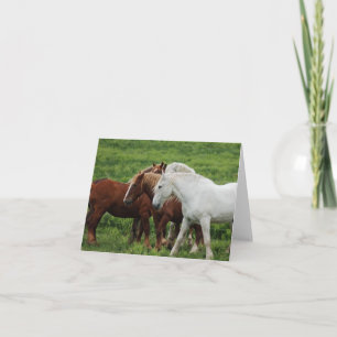 Note Card