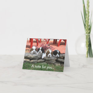 Note card