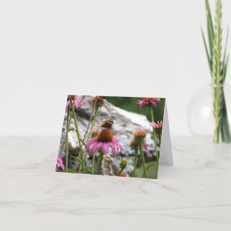 Note Card