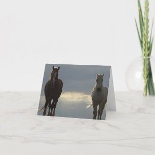 Note Card