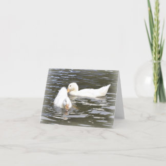 Note Card: Aylesbury Ducklings Card