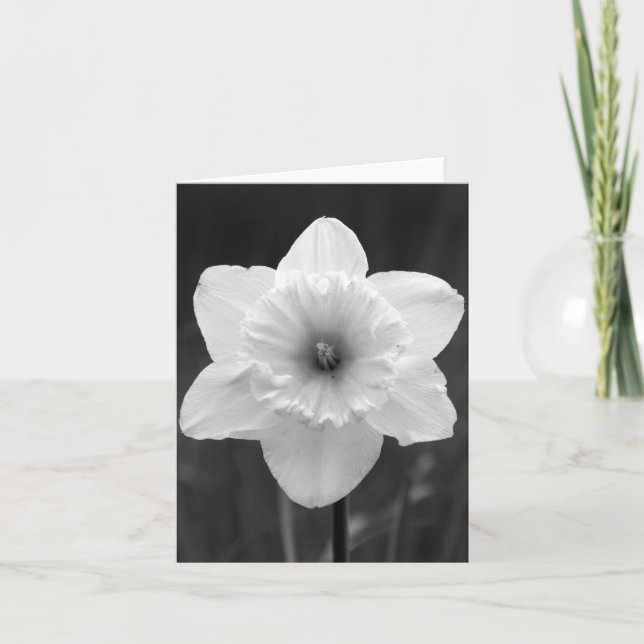 Note Card - B/W Daffodil (Front)